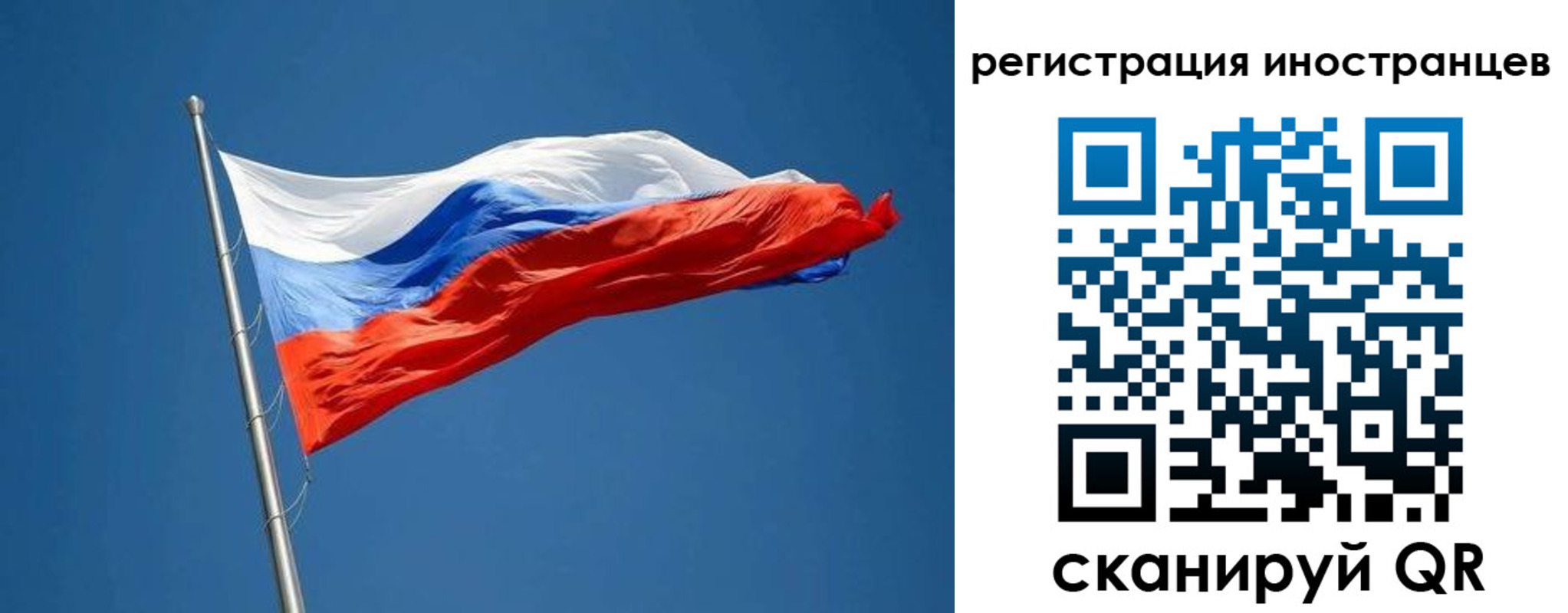 прописка в Дятьково